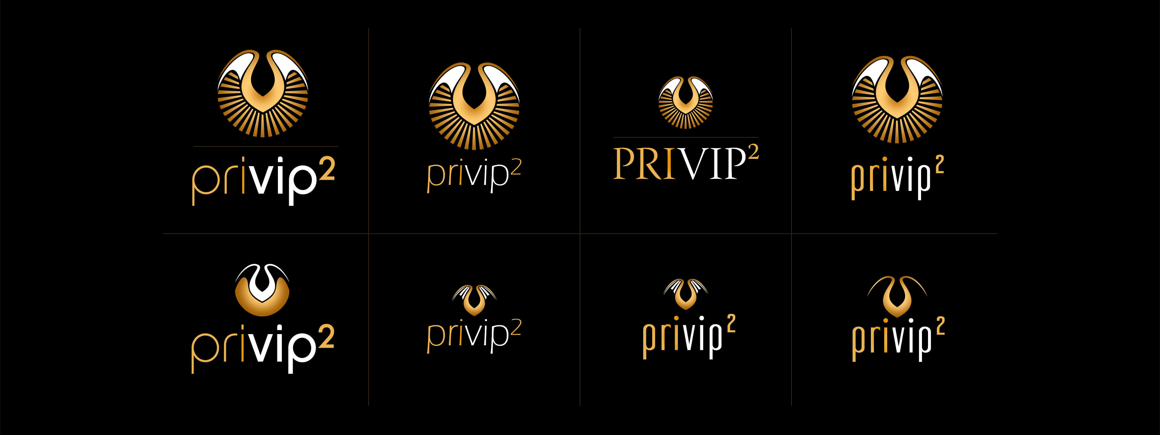 privip² Logoentwürfe Abbildung privip² Logoentwicklung